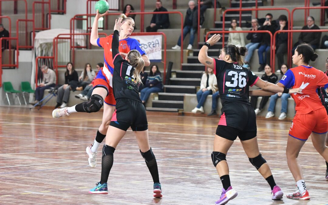 Cellini Padova missione vittoria contro Teramo e scontro diretto contro Jolly